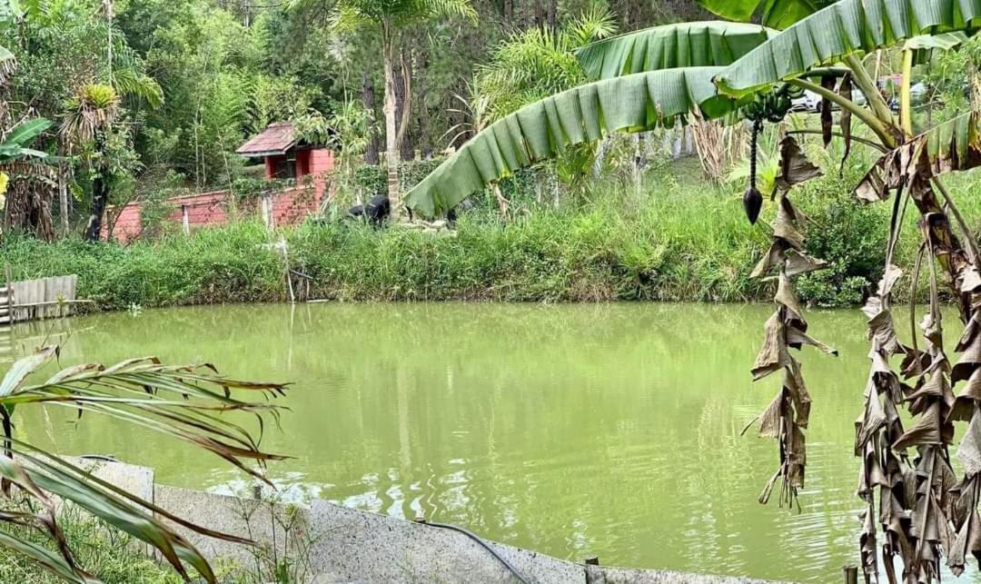Chacara Recanto Dos Passaros Bairro das Rosas Esterno foto