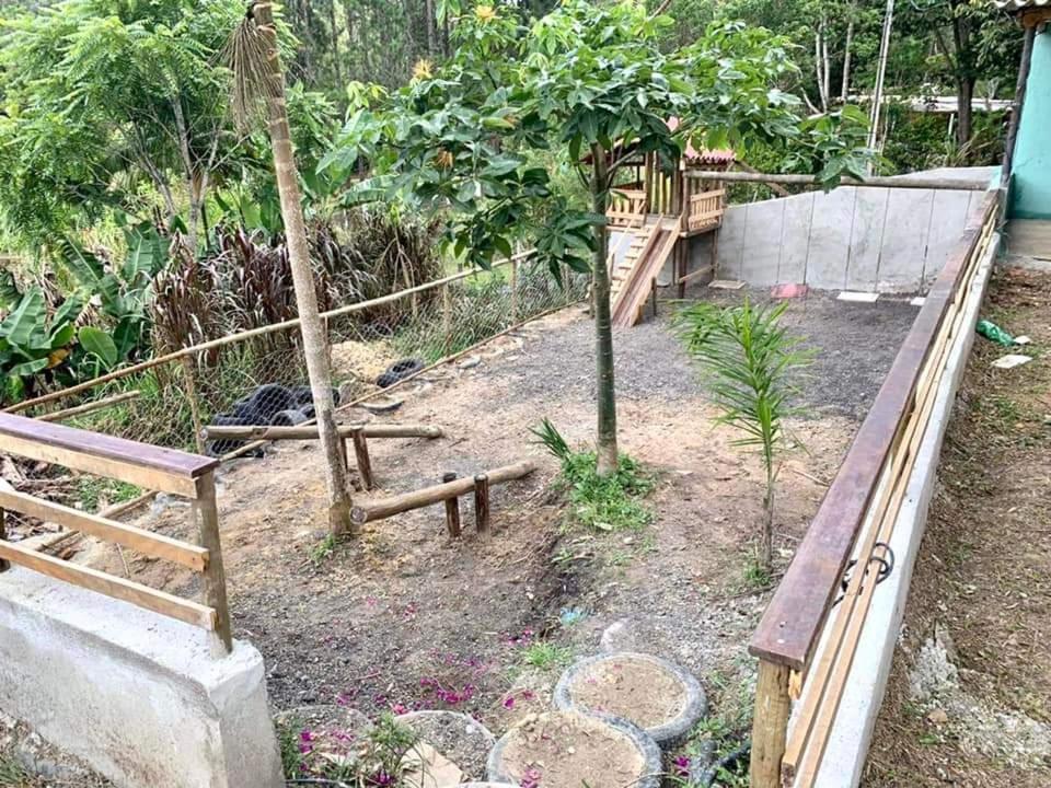 Chacara Recanto Dos Passaros Bairro das Rosas Esterno foto